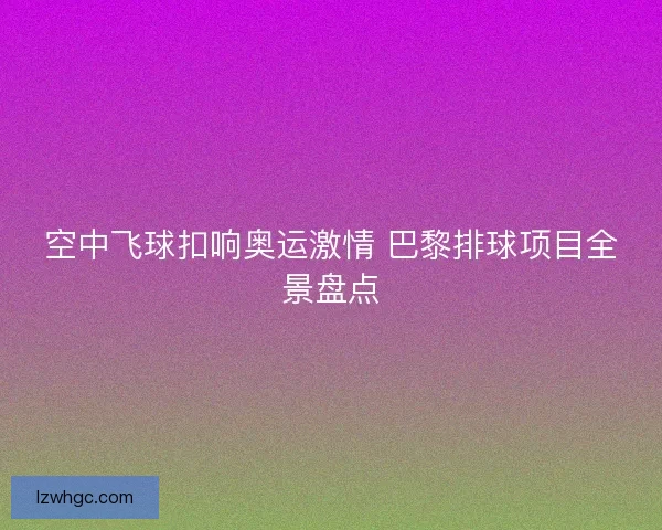 空中飞球扣响奥运激情 巴黎排球项目全景盘点